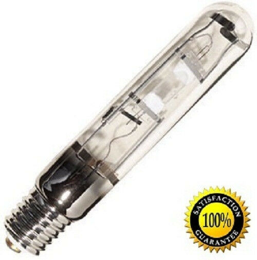 Metal Halide Bulb