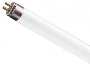 Lumen-output-t8-bulb-fluorescent